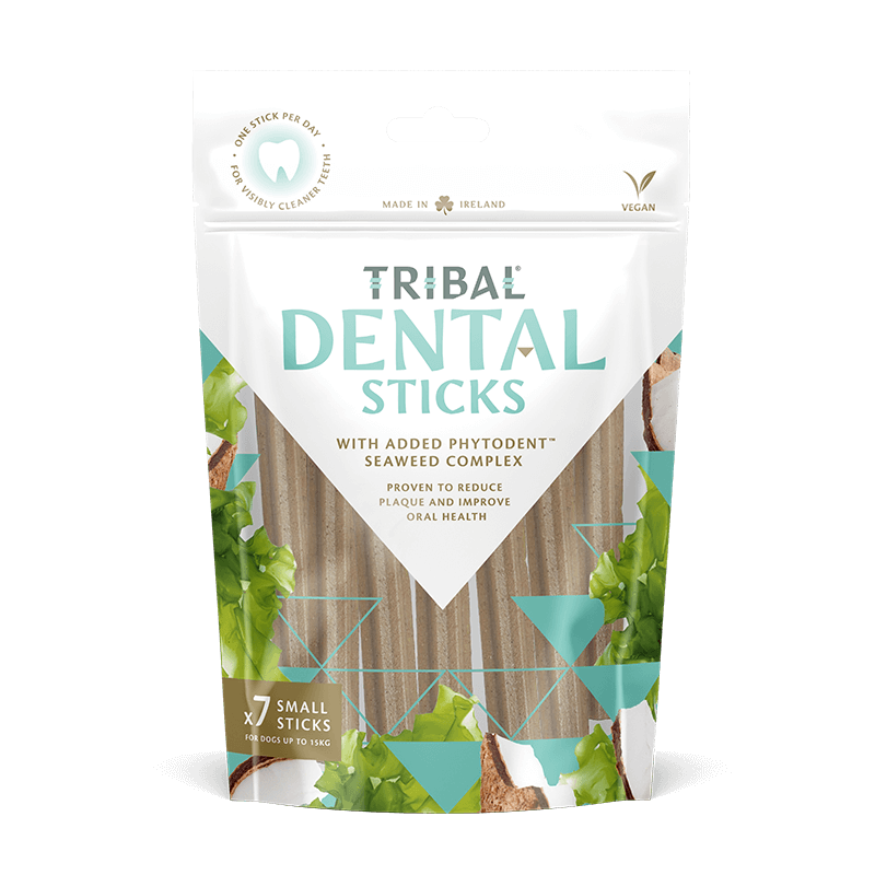 tribal small dental sticks dantu lazdeles