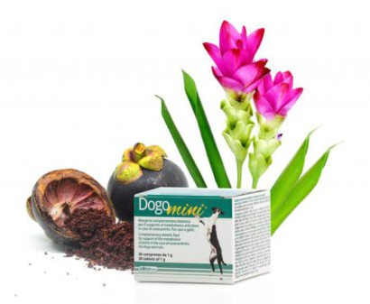 0003868 dg36398 dogoteka dogomini 30 tabl