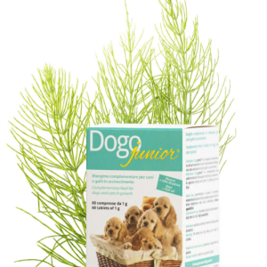 0003869 dg36400 dogoteka dogojunior 60 tabl