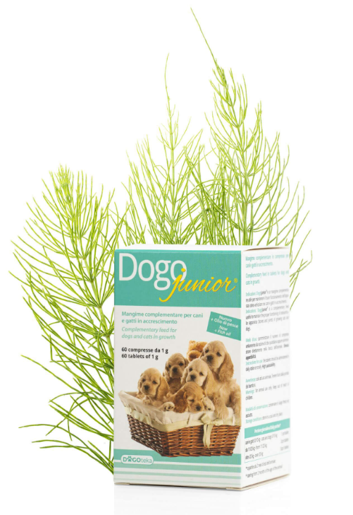 0003869 dg36400 dogoteka dogojunior 60 tabl