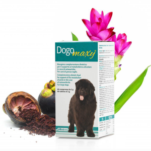 0003870 dg36386 dogoteka dogomaxy 60 tabl