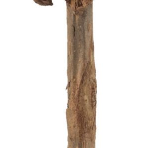 Trixie Matatabi žaislas katei lazdelė su katžolės kamuoliuku, 11 cm