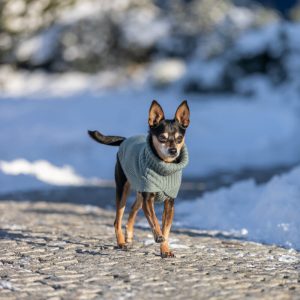 0004524 11 680180 trixie citystyle berlin megztinis xs 24 cm salavijo