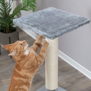 0004598 36 43371 trixie baena draskykle stulpas 69 cm pilka