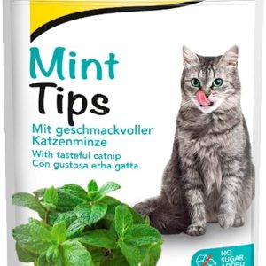 0005616 02418742 gimcat mint tips 40g skanestai katems