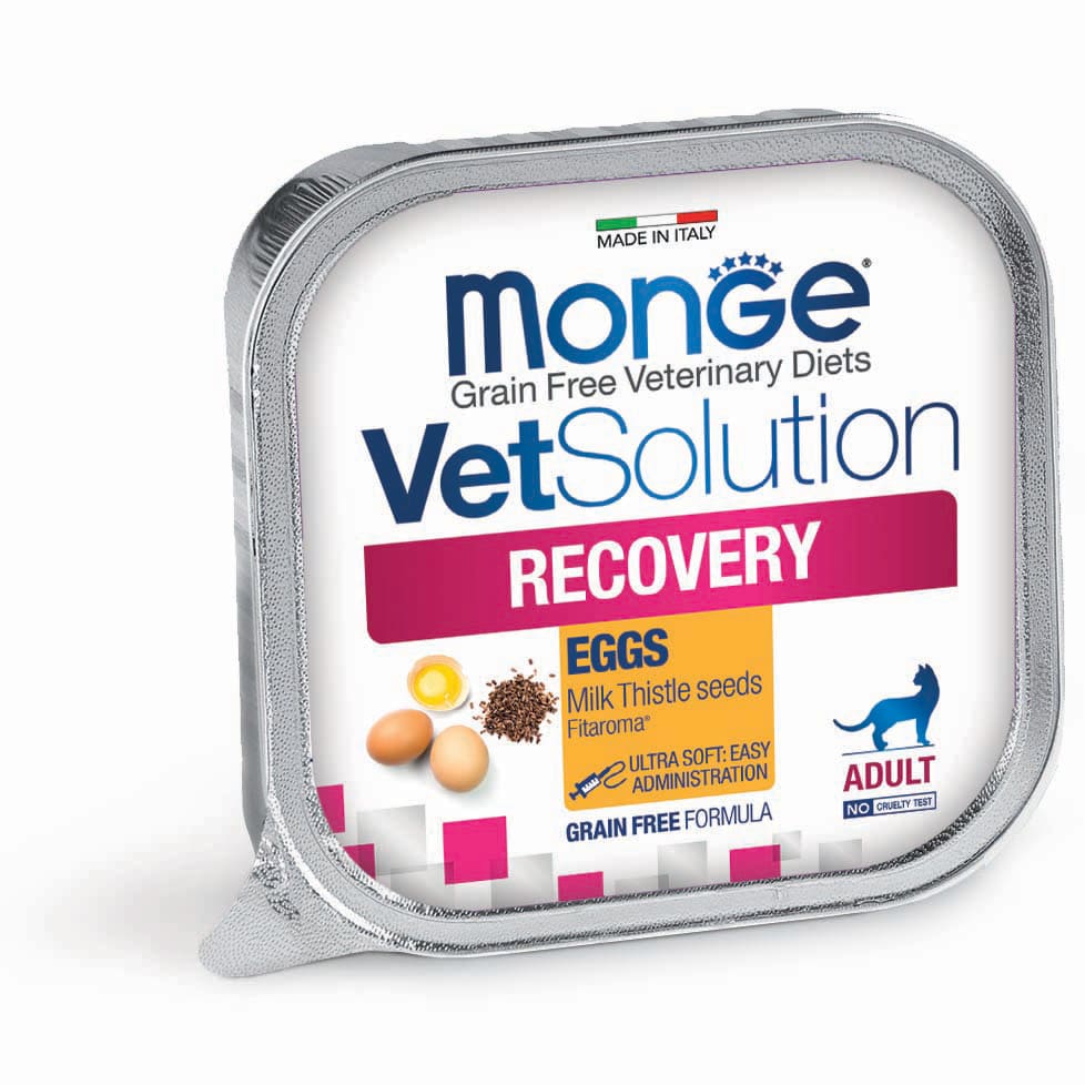 0005748 m14656 monge vetsolution cat wet recovery 100 g