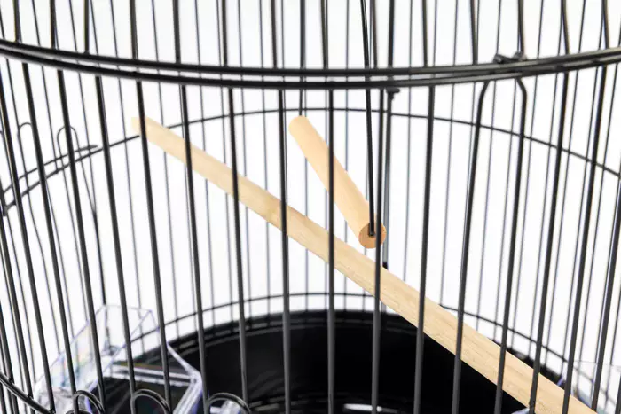 avi k822 bird cage 55 cm black.jpg 2