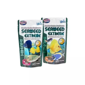 marine seaweed extreme mini pasaras zuvims optimized