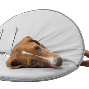 0007677 23 19424 trixie apsaugine apykakle poliesterisputplastis m 38 42 cm215 cm pilka