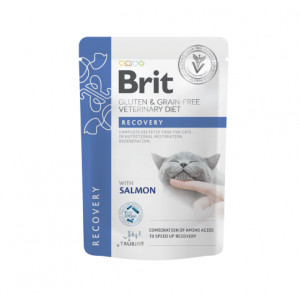 Brit GF Veterinary Diets konservuotas pašaras katėms maiš. Recovery 85g