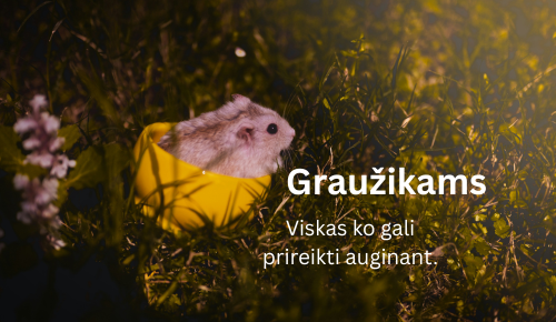 Graužikams