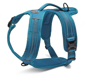 Petnešos Action Alpi 70-95cm AKVANAMAI