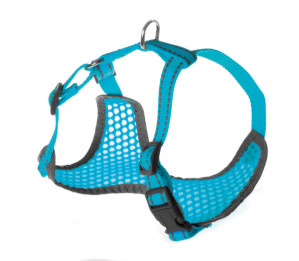 Petnešos Pettorine 48-60x51-72cm AKVANAMAI