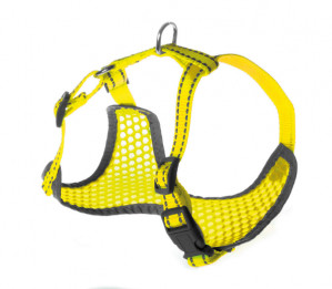 Petnešos Pettorine 36-45x38-52cm AKVANAMAI