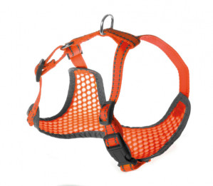 Petnešos Pettorine 32-40x32-45cm AKVANAMAI