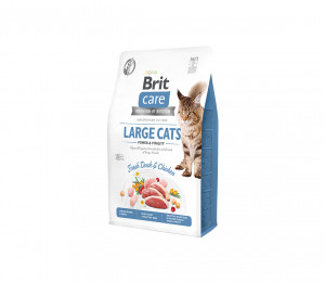 Brit Care Cat GF Large cats Power&Vitality sausas pašaras katėms 0,4 kg