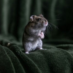 frenjamin benklin i0OwUyZ4QW0 unsplash