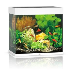 pol pm Akwarium Juwel Lido 120 LED biale 41 1