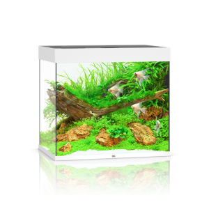 pol pm Akwarium Juwel Lido 200 LED biale 45 10