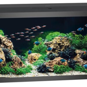 pol pm Akwarium Juwel Primo 110 LED 2 0 czarne 472 1