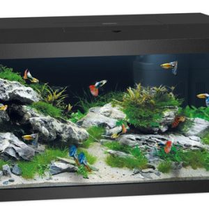 pol pm Akwarium Juwel Primo 60 LED 2 0 czarne 515 1