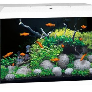 pol pm Akwarium Juwel Primo 70 LED 2 0 biale 495 1