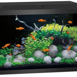 pol pm Akwarium Juwel Primo 70 LED 2 0 czarne 496 1