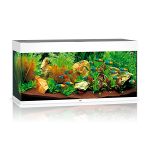 pol pm Akwarium Juwel Rio 180 LED biale 17 10