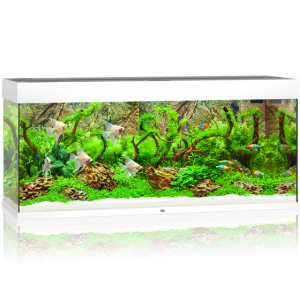 pol pm Akwarium Juwel Rio 240 LED biale 13 10 2