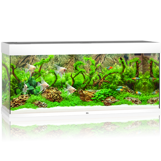 pol pm Akwarium Juwel Rio 240 LED biale 13 10 2