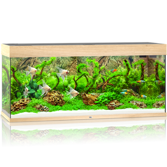 pol pm Akwarium Juwel Rio 240 LED jasne drewno dab 15 10 2