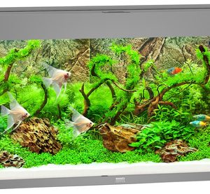 pol pm Akwarium Juwel Rio 240 LED szare 383 1