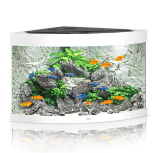 pol pm Akwarium Juwel Trigon 190 LED biale 52 10