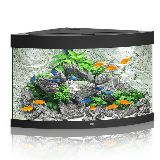pol pm Akwarium Juwel Trigon 190 LED czarne 51 11