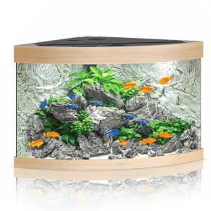 pol pm Akwarium Juwel Trigon 190 LED jasne drewno dab 54 11