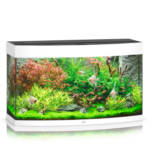 pol pm Akwarium Juwel Vision 180 LED biale 33 9