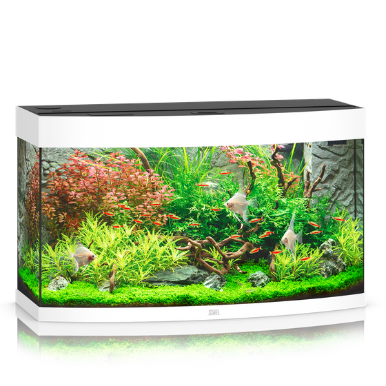 pol pm Akwarium Juwel Vision 180 LED biale 33 9