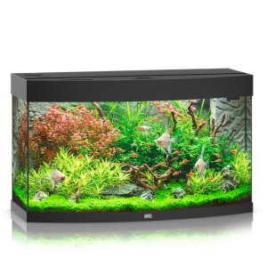 pol pm Akwarium Juwel Vision 180 LED czarne 32 9