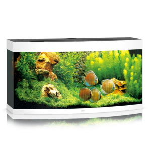 pol pm Akwarium Juwel Vision 260 LED biale 25 10 2