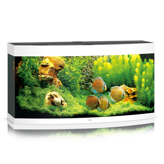 pol pm Akwarium Juwel Vision 260 LED biale 25 10 2