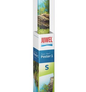 pol pm Fototapeta Juwel Poster 1 S 156 1
