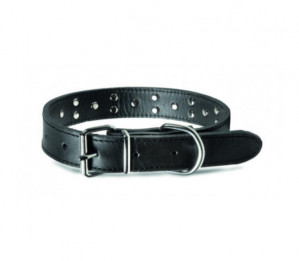 Record odinis antkaklis šunims 2x33-41cm AKVANAMAI