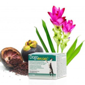 0003868 dg36398 dogoteka dogomini 30 tabl