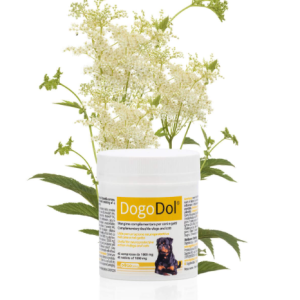 0003871 dg99127 dogoteka dogodol 45 tabl