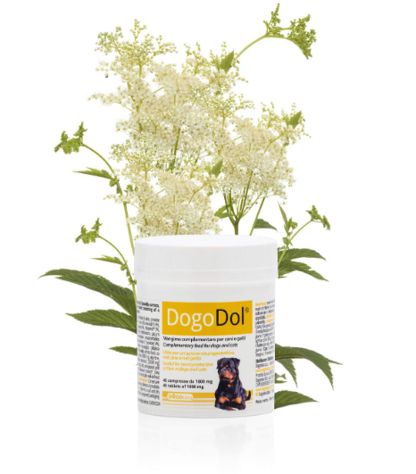 0003871 dg99127 dogoteka dogodol 45 tabl