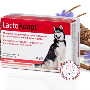 0003873 dg31341 dogoteka lactoadapt 60 60 tabl