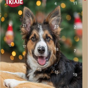 Trixie Xmas Advento kalendorius šunims, 30 × 34 × 3.5cm