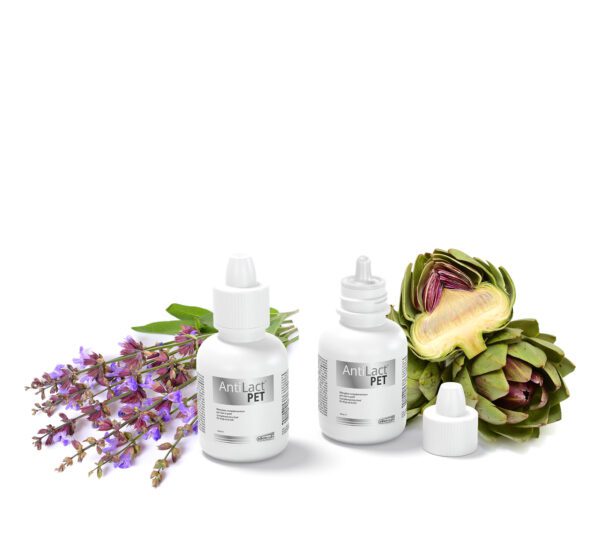 0004226 dg03897 dogoteka antilact pet 50 ml