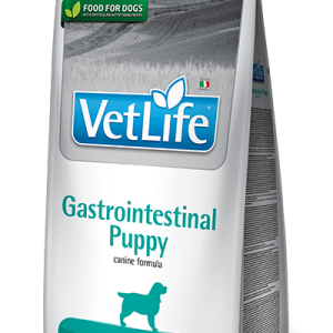 FARMINA VET LIFE - DOG Dry GASTROINTESTINAL PUPPY 2 kg