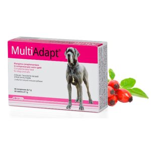 0006232 dg02718 dogoteka multiadapt 60 tabl